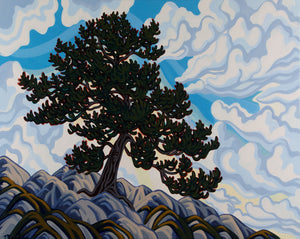 Limber Pine, 24X30, Original Painting