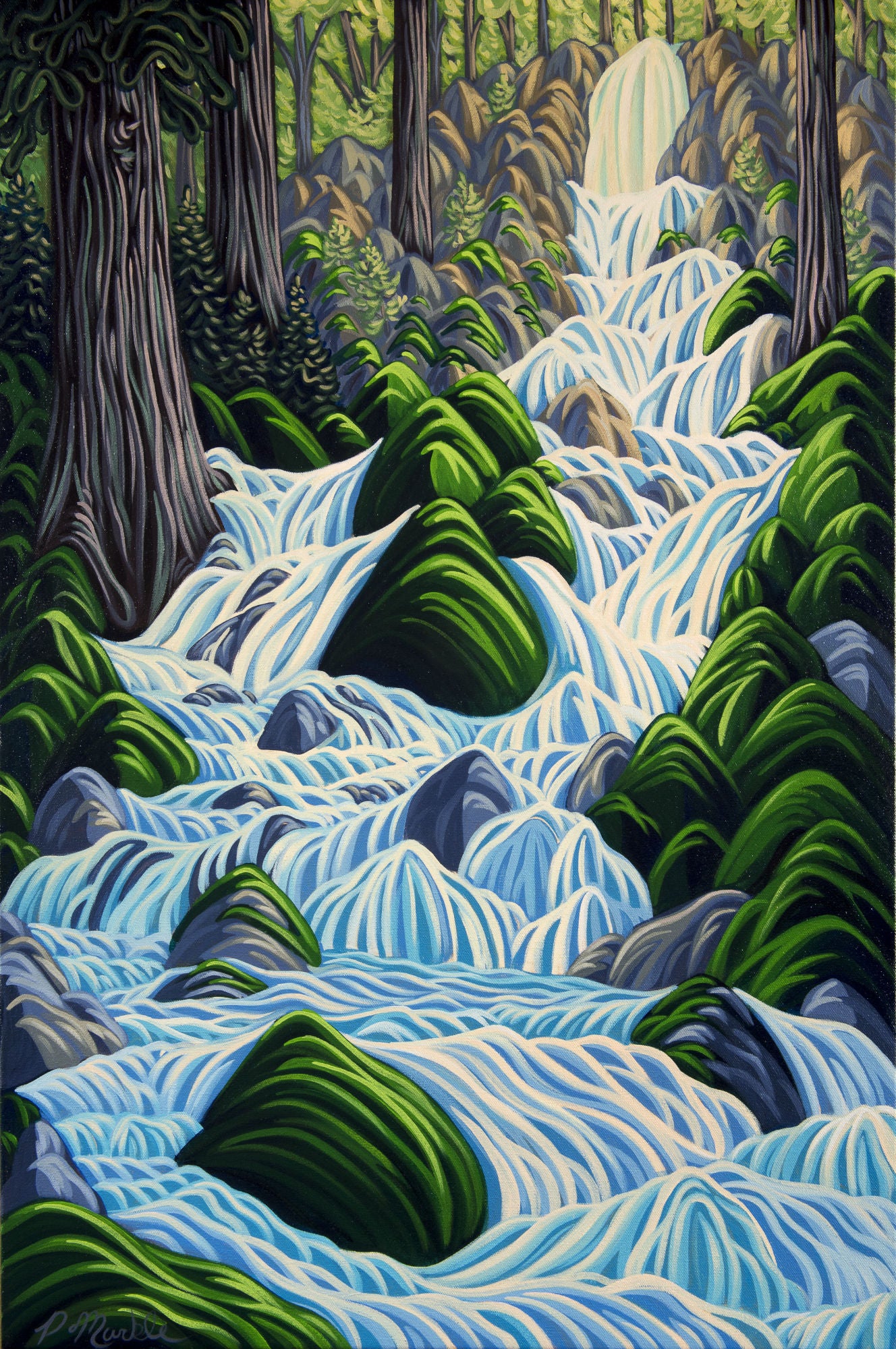 Thirsty Cedar, Giclee, Print on Canvas